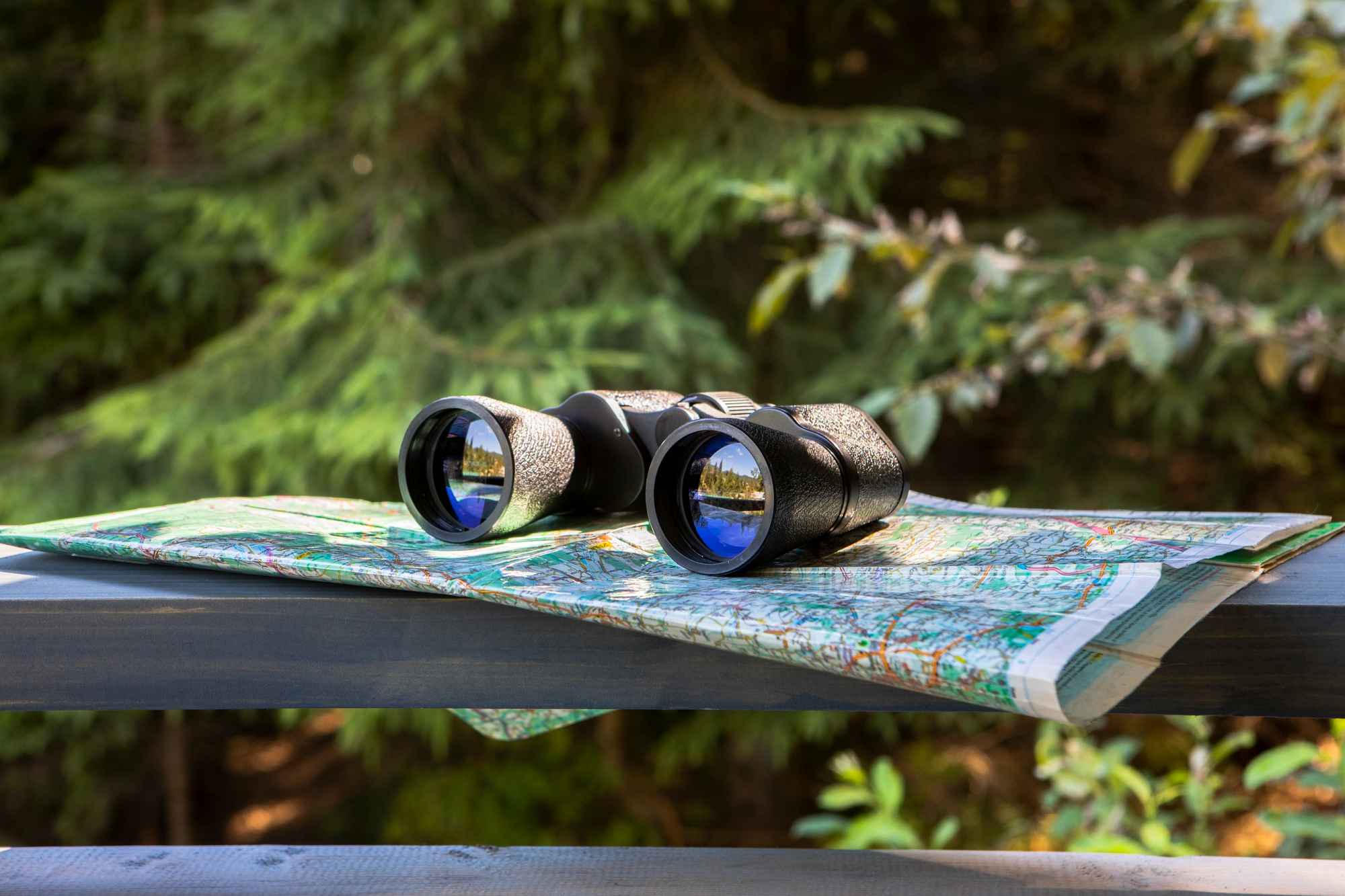 Binoculars for Wildlife Exploration