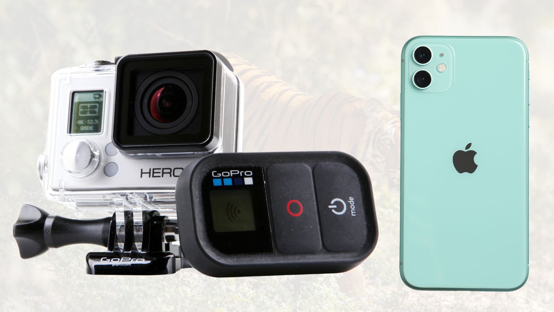 Smartphone vs Go-Pro for Wildlife Exploration