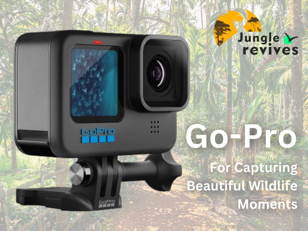 GoPro for Wildlife