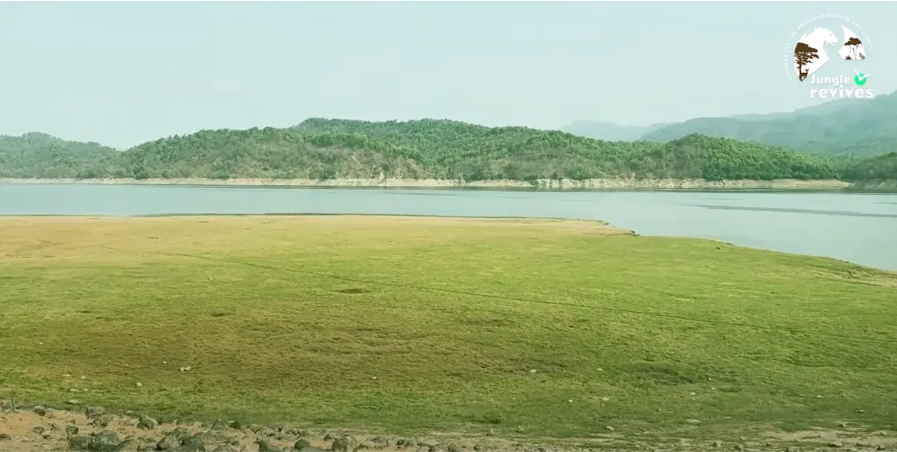 ram ganga river jim corbett dhikala zone grasslands