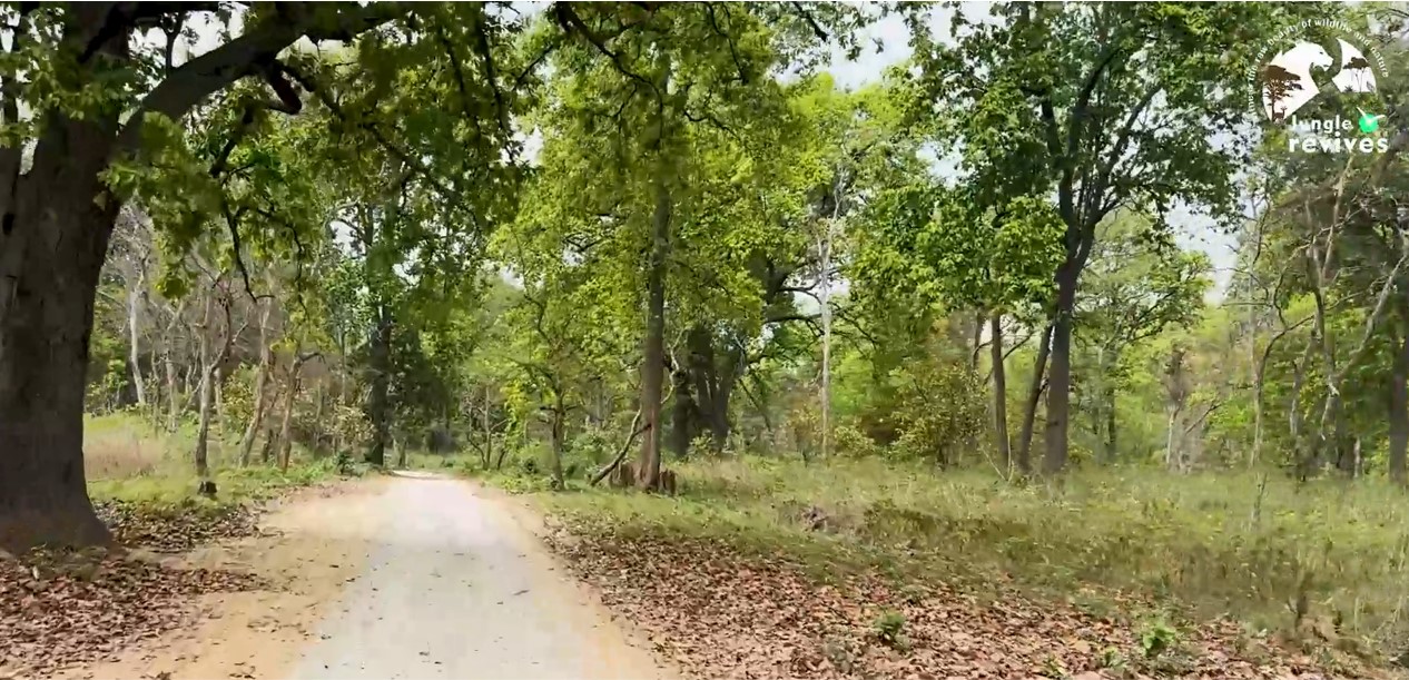 Scenic beauty enroute to the Malani Forest House in Bijrani Jim Corbett