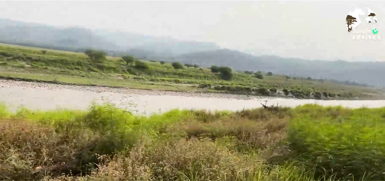 Approaching Ram Ganga River in Dhikala