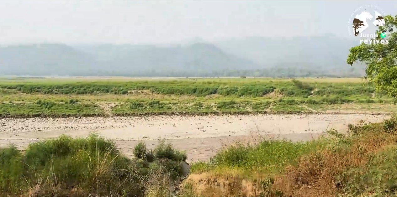 approaching ram ganga river enroute to spot ped wali tigress