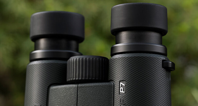 Nikon P7 Binoculars for Wildlife Spotting