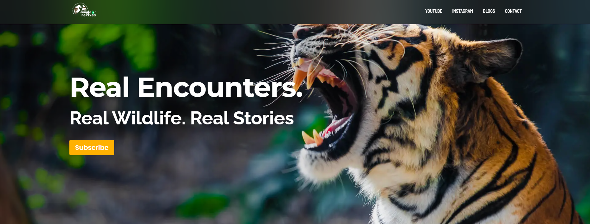 Jungle Revives Home Page Banner