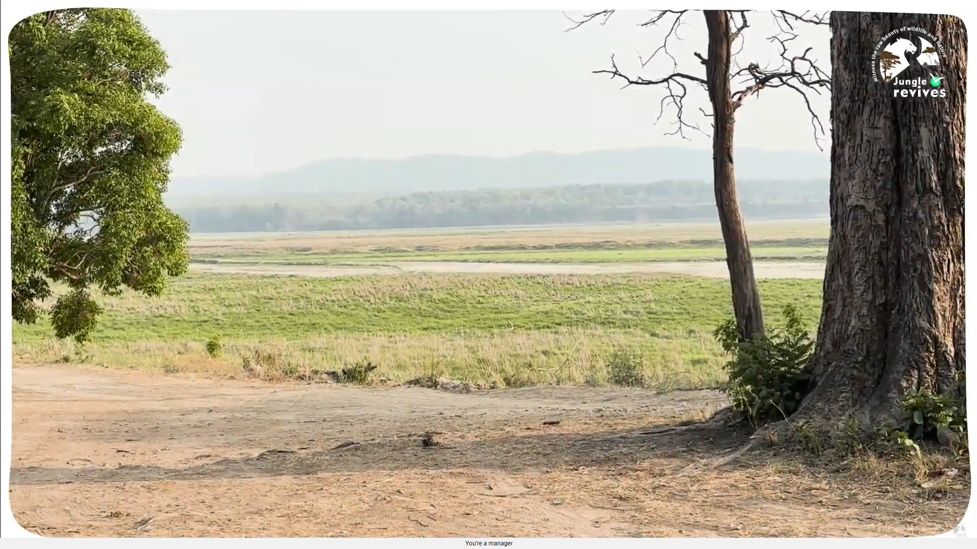 Ram Ganga River in Jim Corbett Dhikala Zone