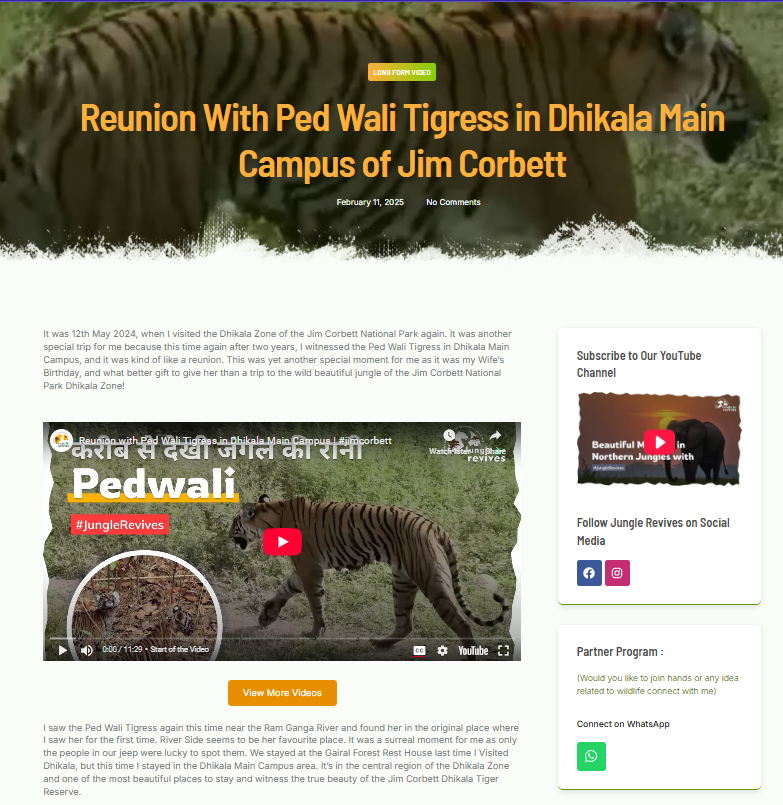 Individual Blog Page Layout