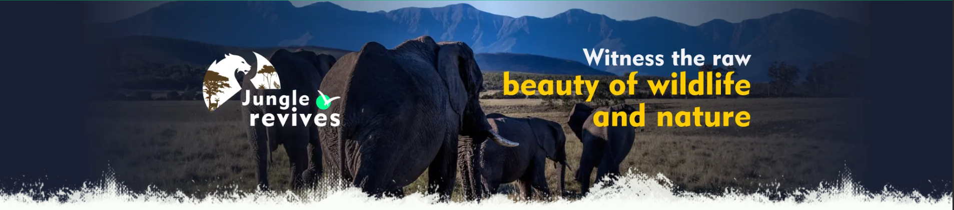 Website Banner - Jungle Revives