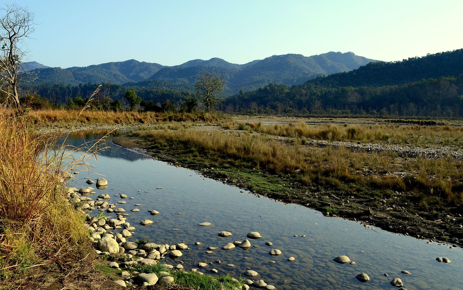 Jim Corbett National Park