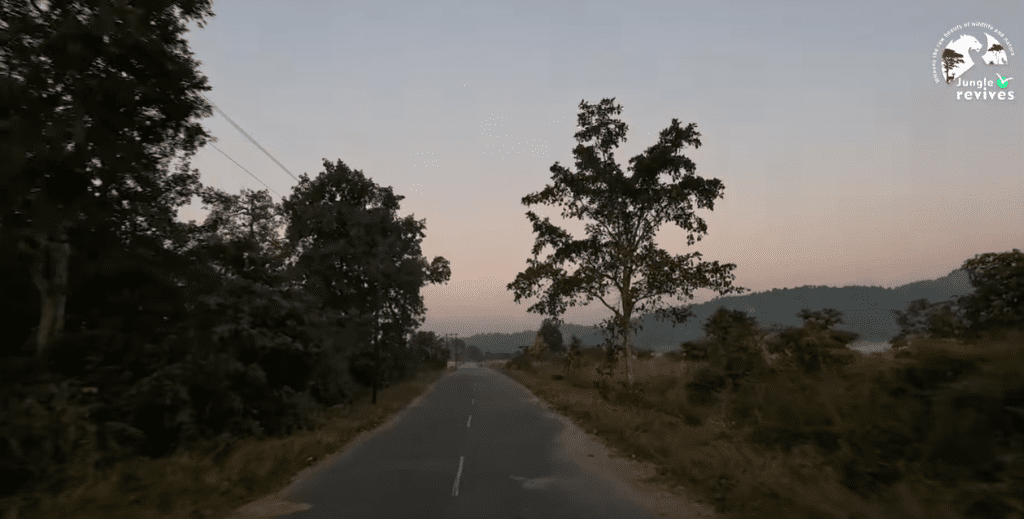 Best Time to Visit to Jim Corbett