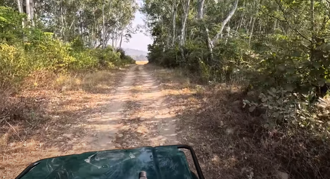 Dhela Buffer Zone