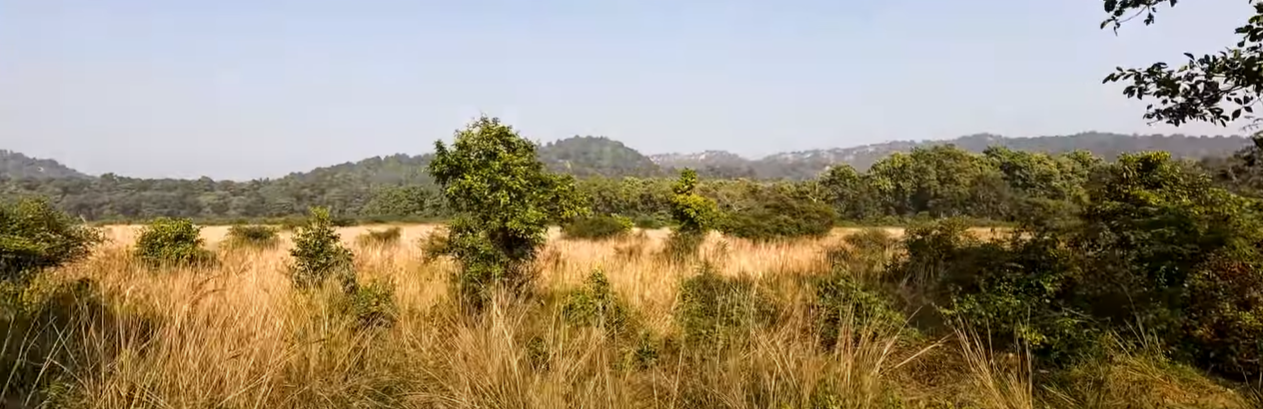 Dhela Zone Grasslands