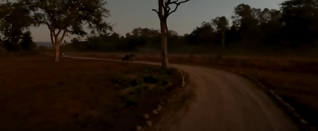 Starting the Jim Corbett National Park Bijrani Zone Safari