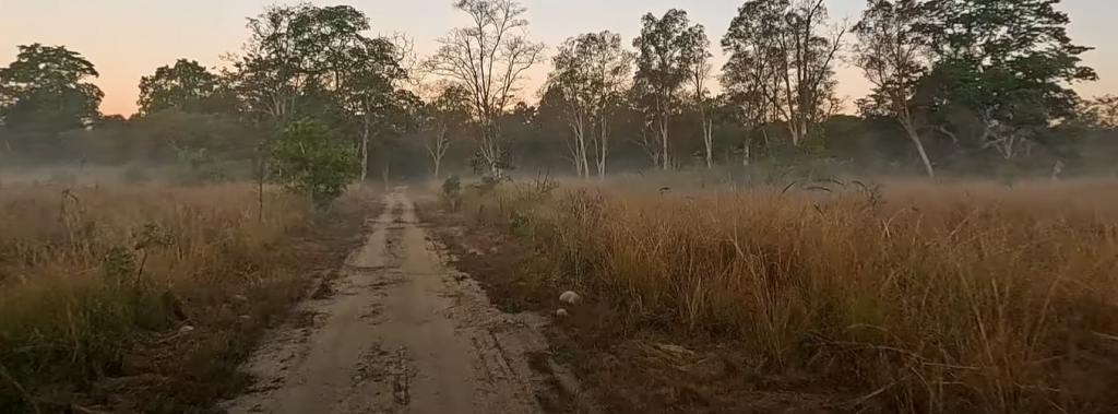 Enjoying the quiet atmosphere of the Jungles 