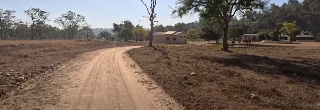 Heading Back to the Bijrani FRH 