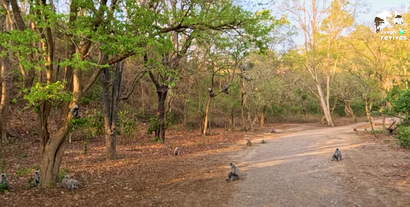 Family of Langoor in Jhirna Zone