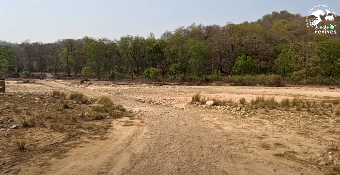 off road terrain of Jim Corbett Jhirna Zone