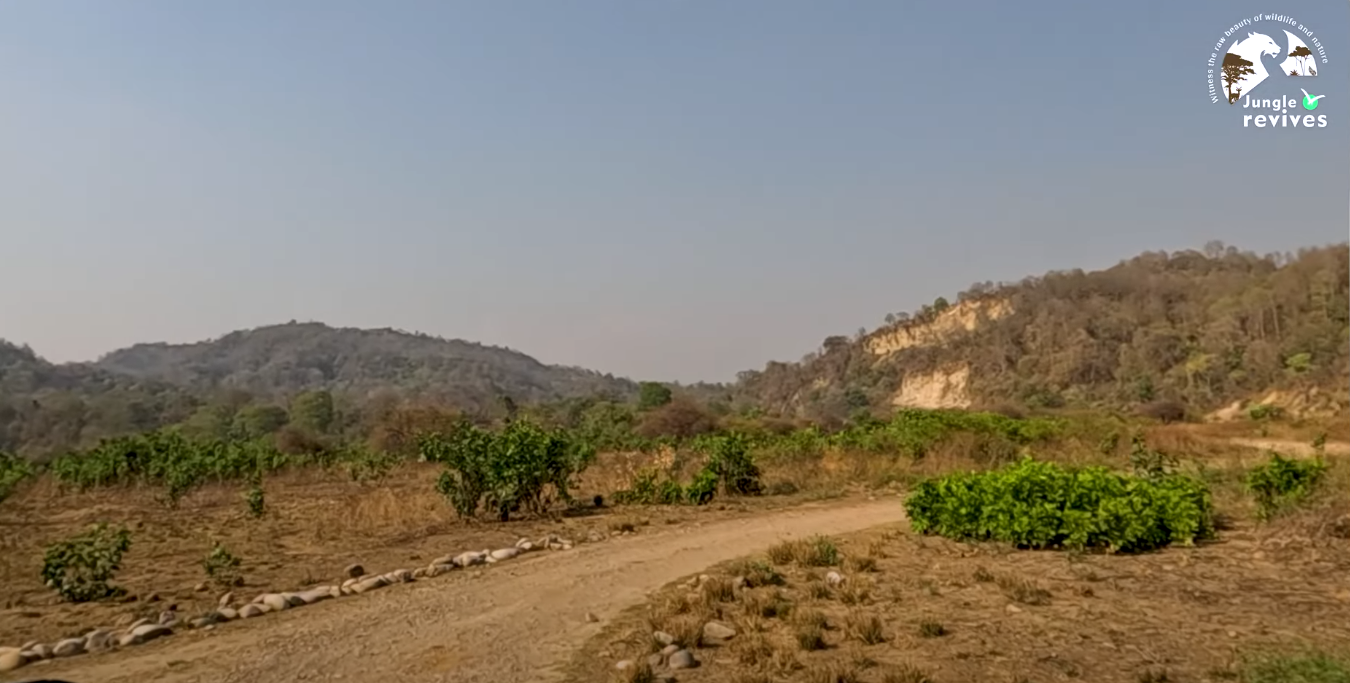 Hilly areas of Jim Corbett Jhirna Zone