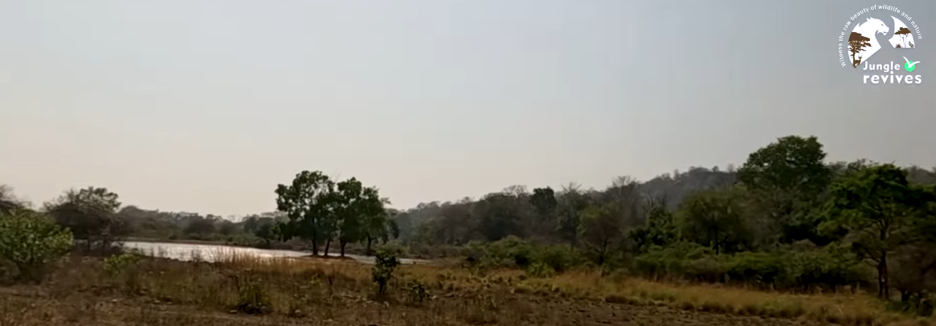 Water hole in Jhirna Zone