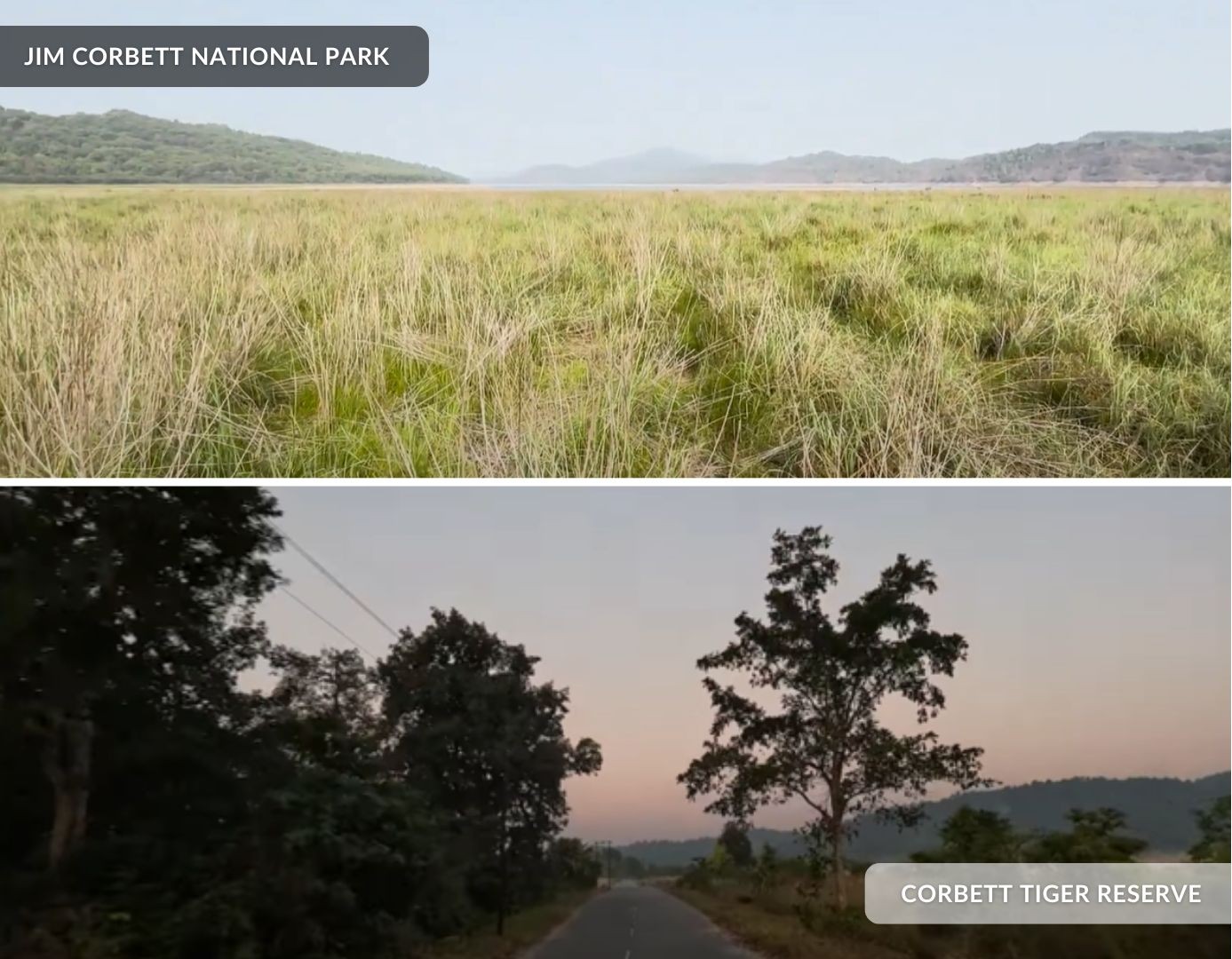 Jim Corbett National Park vs Corbett Tiger Reserve