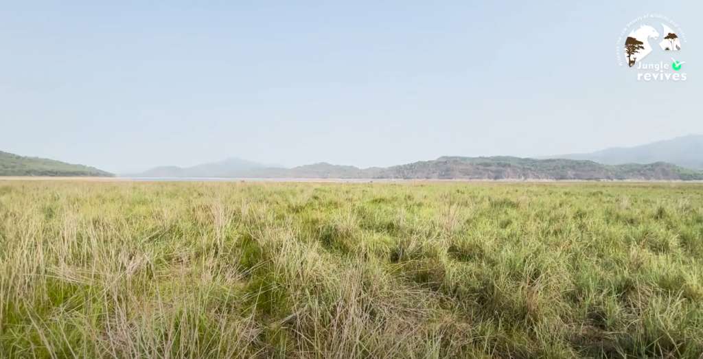 Jim Corbett in Summer