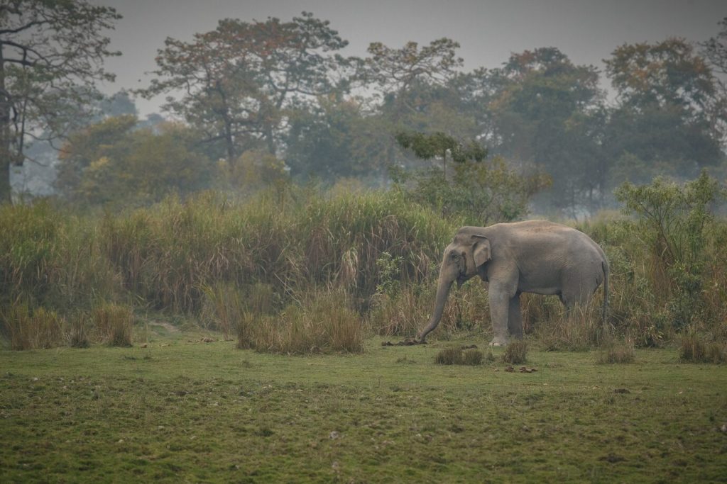Jim Corbett in monsoon