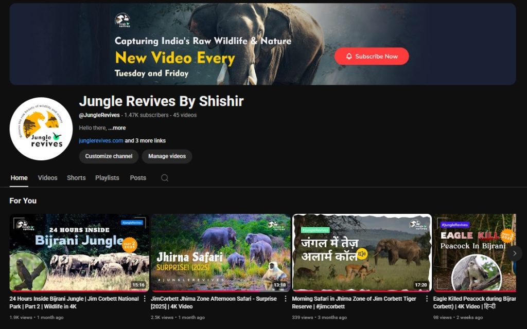 Jungle Revives YouTube Channel