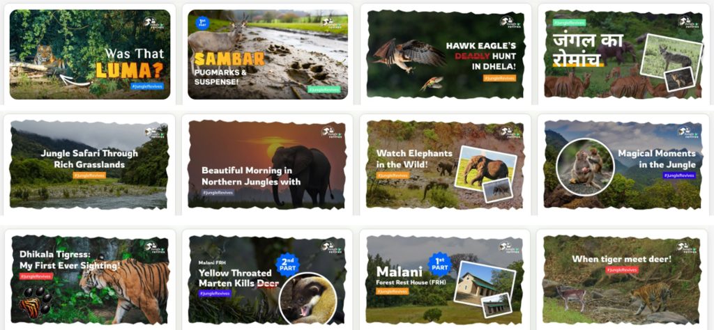 YouTube Thumbnail Examples of Jungle Revives