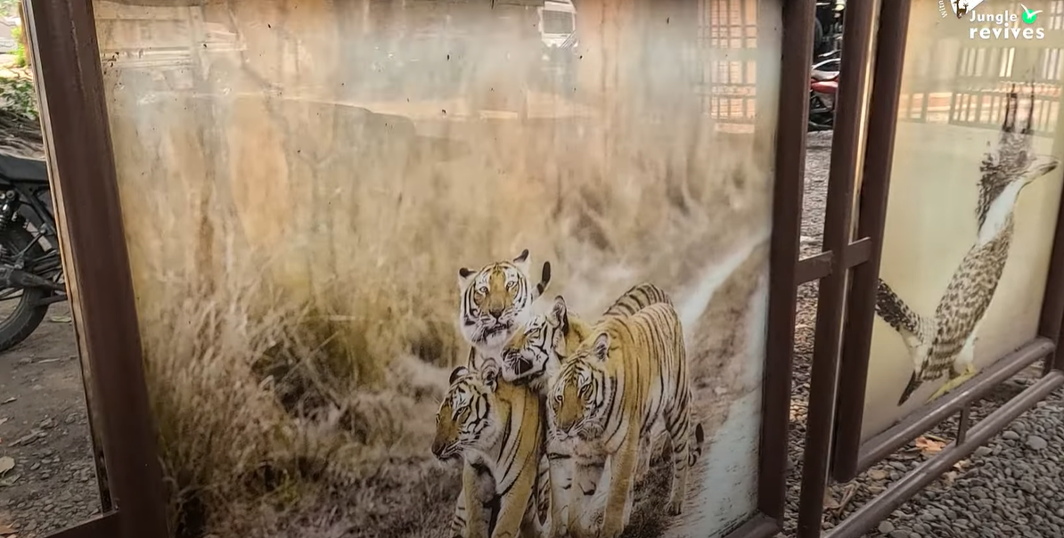Animal Photos at Railing near Bijrani Zone entry gate