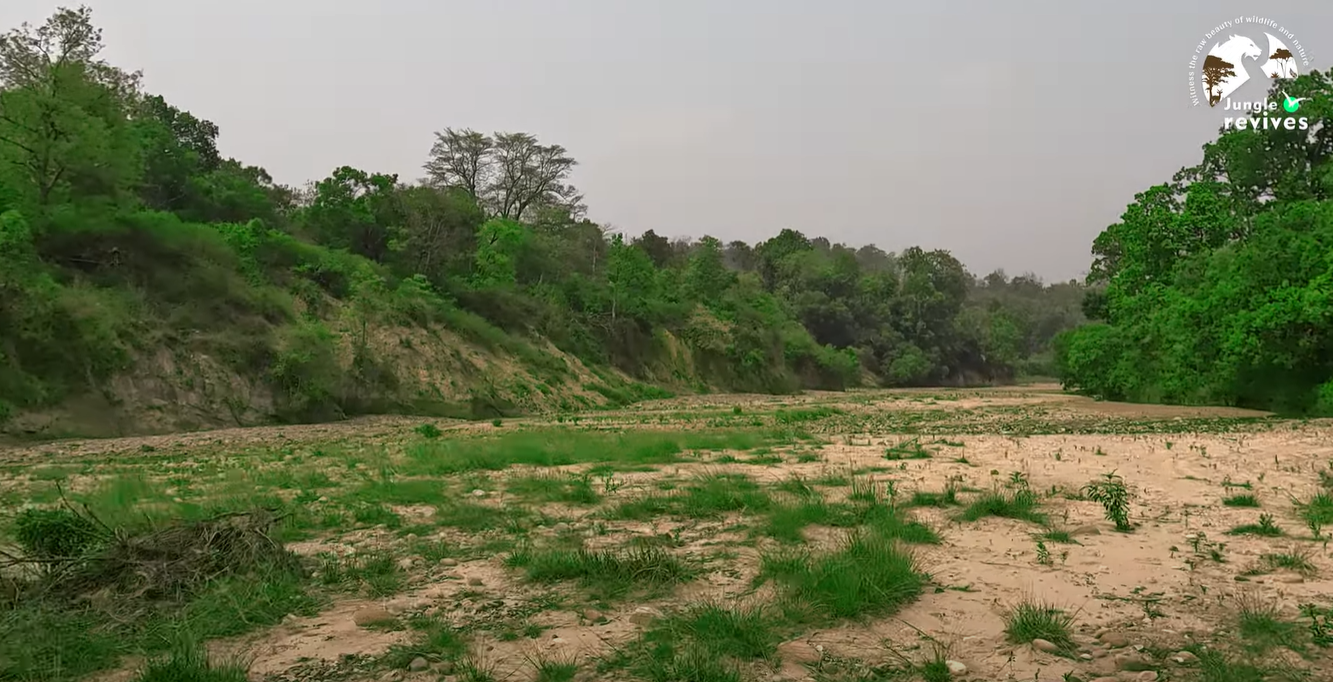 Dry Land Area in Bijrani Zone During Summer