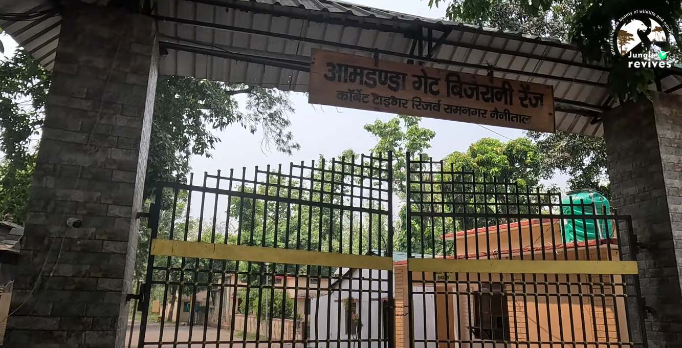 Amdanda gate - Bijrani Zone Entry