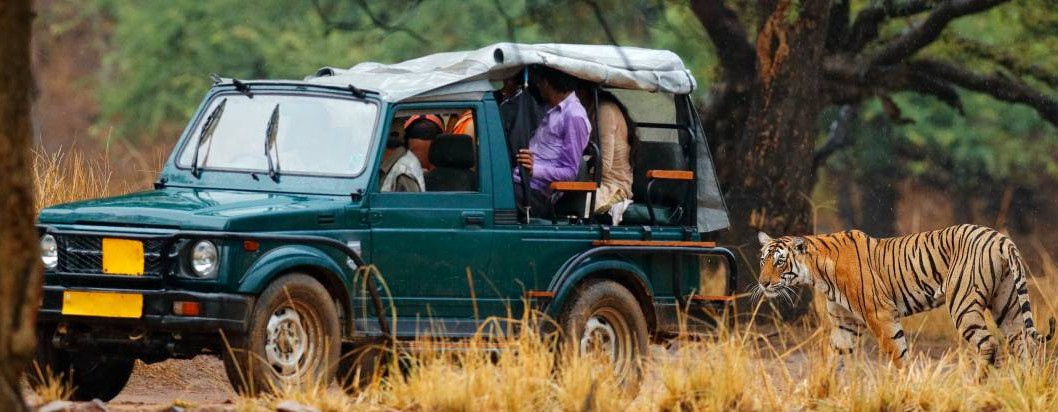 Ranthambore national Park 