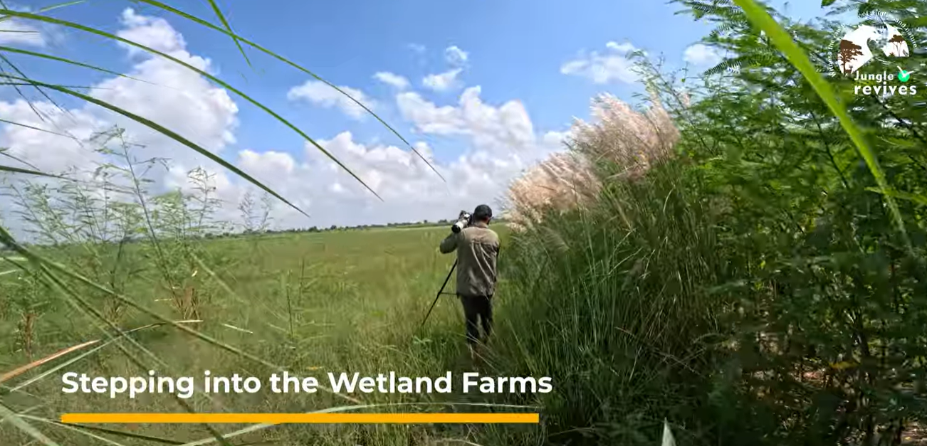 Shishir Stepping into Wetland farms