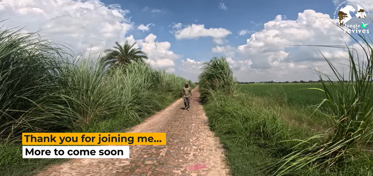 Leaving Dhanauri Wetland